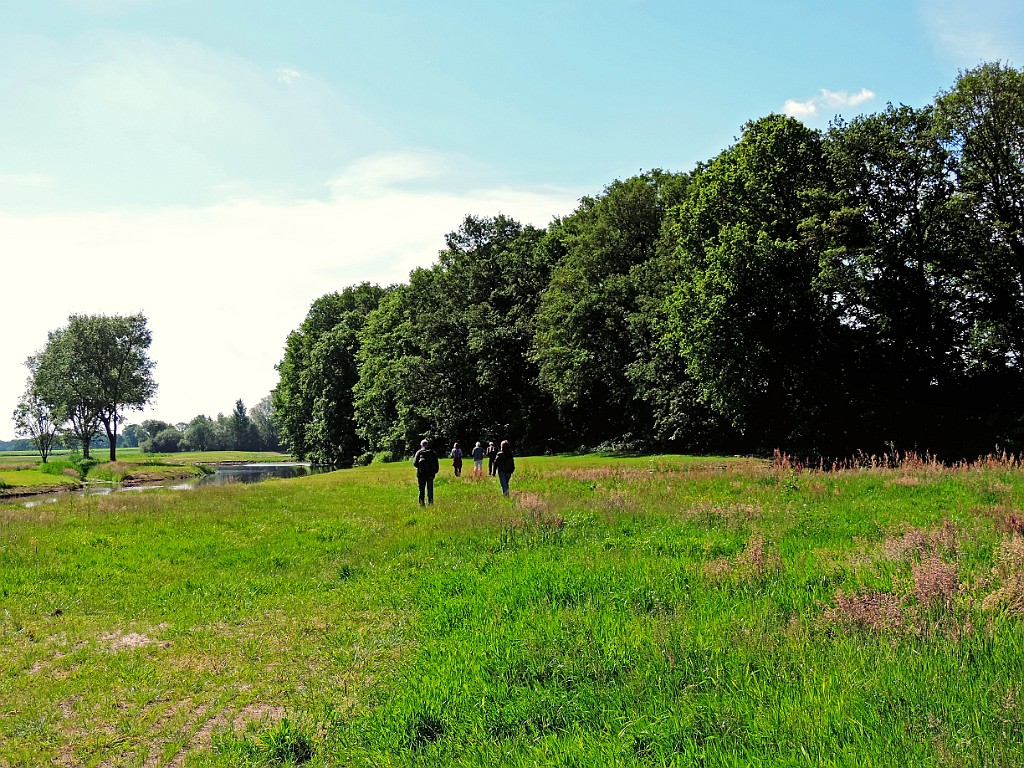 KNNV excursie Zuna [709] 25-mei-2014 (Regge, Zuna).JPG -           